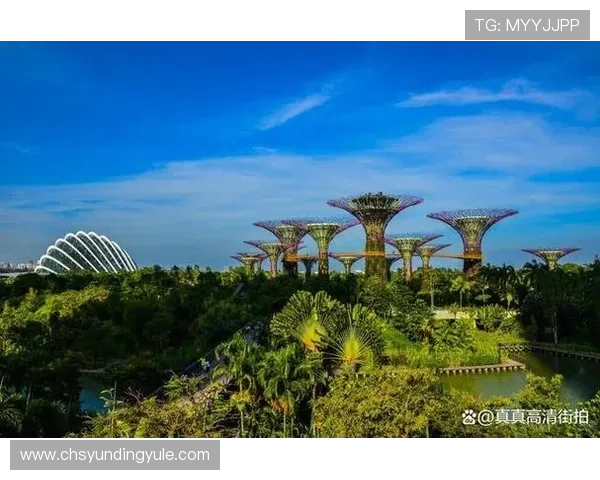 新加坡云顶高原度假全攻略:玩转各种娱乐设施和享受顶级休闲服务的最佳方式
