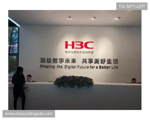 深入了解yd云顶集团官网的企业文化与未来发展规划